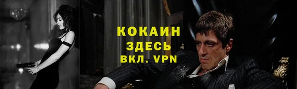mdpv Протвино
