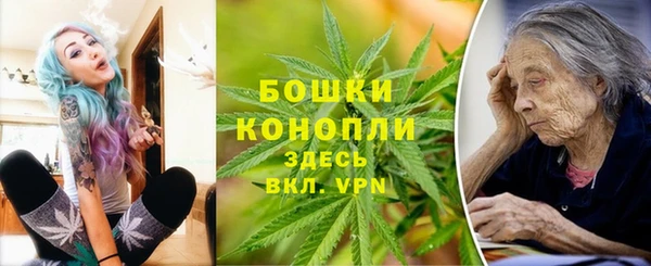 mdpv Протвино